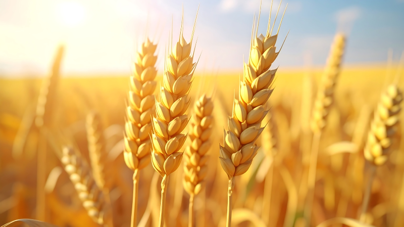 Aldo Vendramin ressalta que logística eficiente é decisiva para competitividade e expansão do agronegócio.