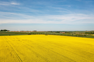 Da vivência no campo à geração de oportunidades, João Eustáquio De Almeida Junior mostra como a experiência no agro pode impulsionar novos negócios.