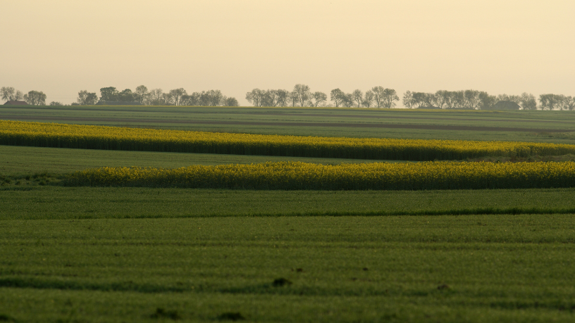 Quando o conhecimento da terra se transforma em estratégia, João Eustáquio De Almeida Junior traduz o agro em desenvolvimento e inovação empresarial.