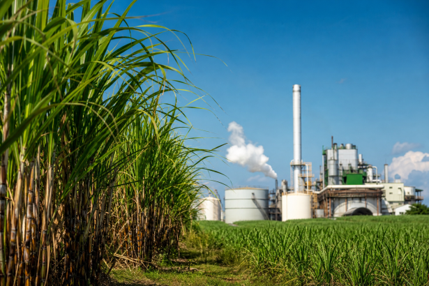 Plantação de cana-de-açúcar ao lado de uma unidade de produção de biocombustíveis no Brasil
